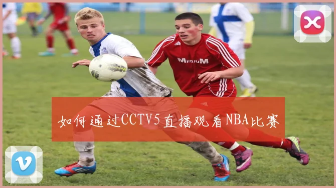 如何通过CCTV5直播观看NBA比赛