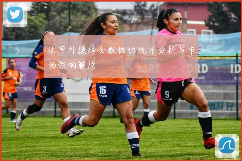 法甲外援转会数据的统计分析与市场影响解读