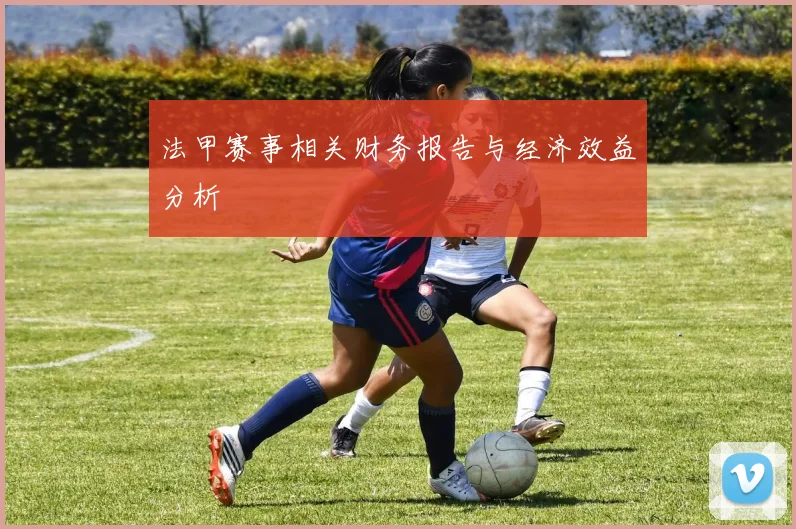 法甲赛事相关财务报告与经济效益分析